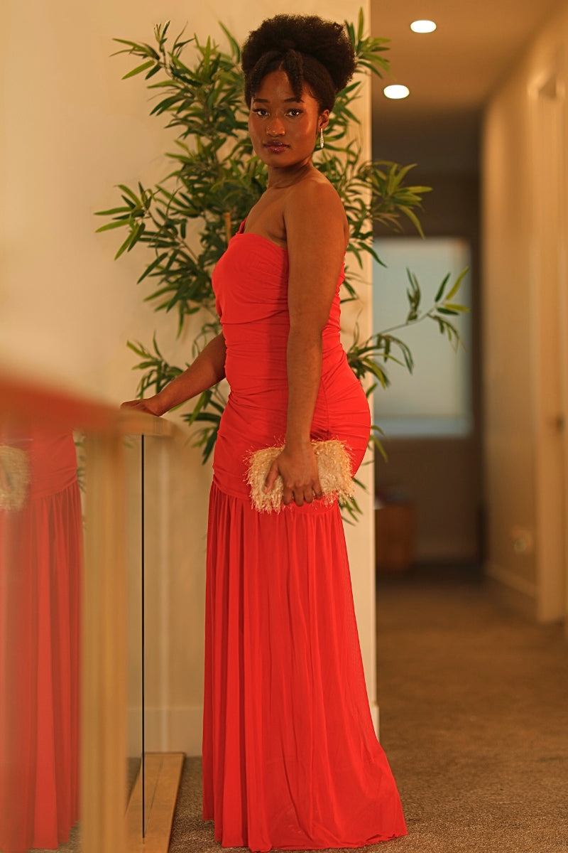 Sparkles Mesh Dress