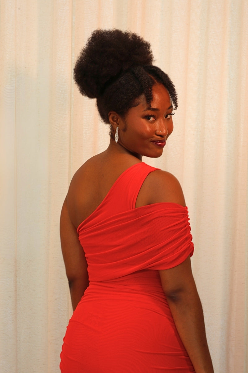 Sparkles Mesh Dress